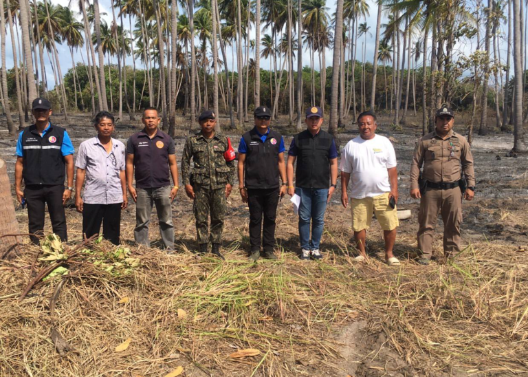 ตรวจสอบการจุดไฟเผาป่าบนเกาะส้ม